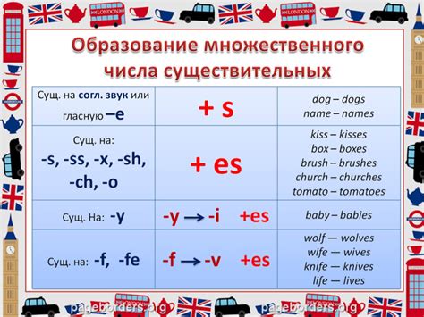 Правила образования множественного числа от цыпленок на английском языке