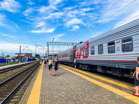 Правила перевозки собаки в купе и плацкартном вагоне