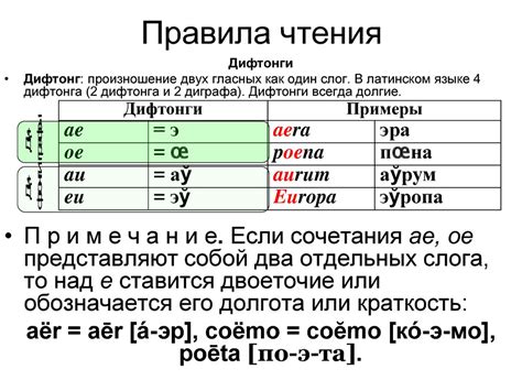 Правила произношения латинских слов