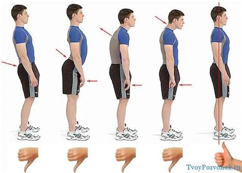 Правильная осанка и рост