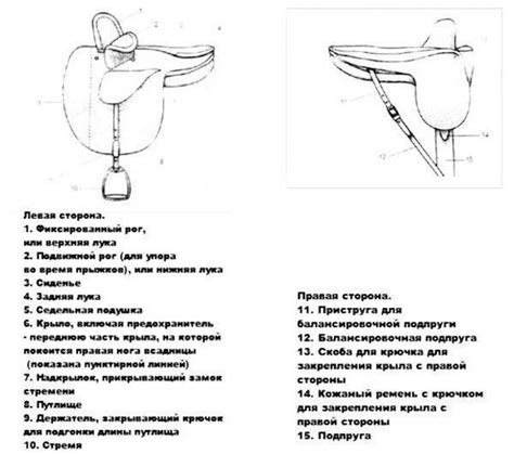 Правильная посадка в седле