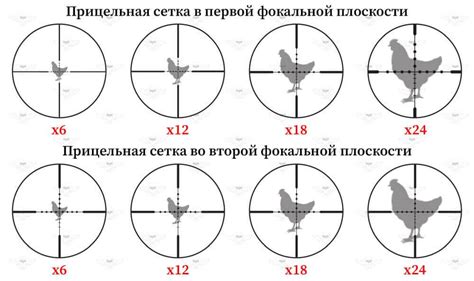 Правильная прицельная сетка для повышения точности