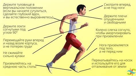 Правильная техника бега и растяжка: секреты успеха