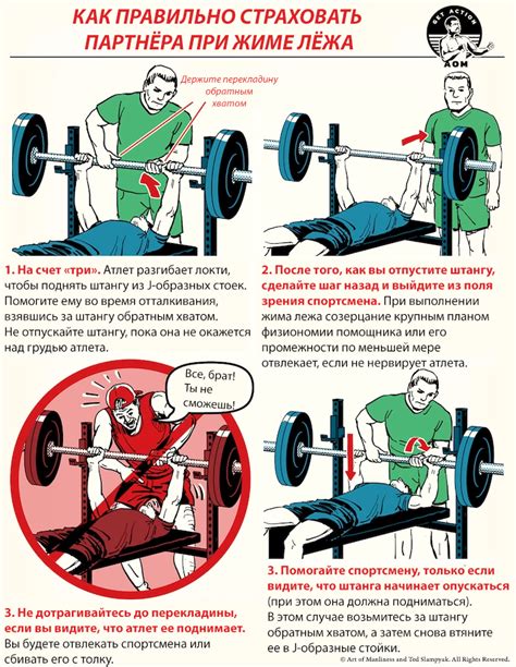 Правильная техника выполнения жима