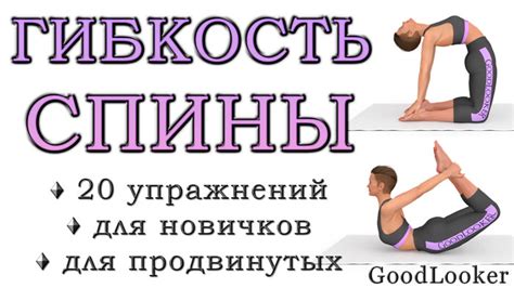 Правильная техника выполнения упражнений для гибкости и подвижности спины