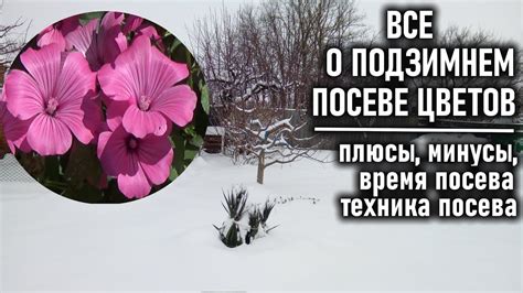 Правильная техника посева