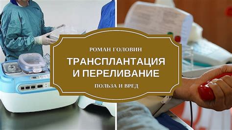 Правильная трансплантация и пересадка