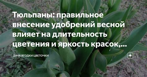 Правильное внесение корректив при повторной эпиляции