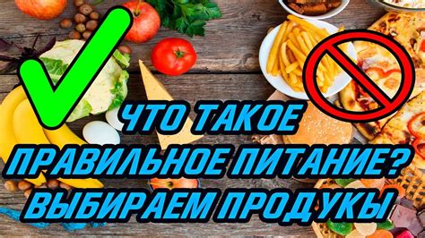 Правильное питание: какие продукты выбирать