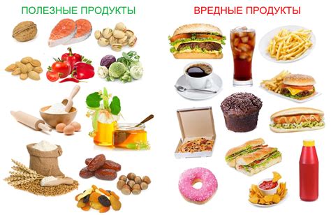 Правильное питание: продукты, которые полезны для здоровья глаз