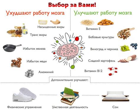 Правильное питание для мозга