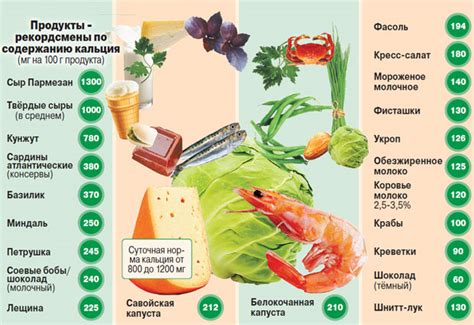 Правильное питание и достаточное количество кальция