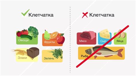 Правильное питание с богатым содержанием клетчатки