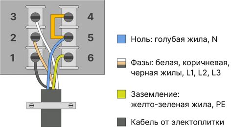 Правильное подключение розетки к силовой сети