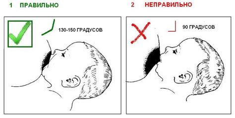 Правильное положение и захват груди