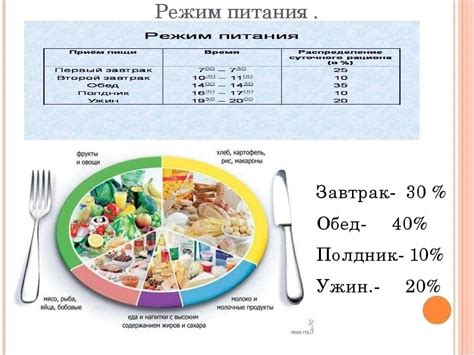 Правильное построение рациона и размера порций