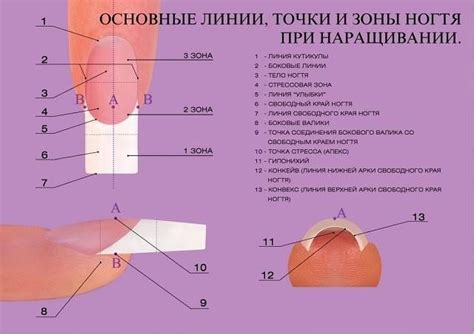 Правильное украшение и защита ногтей