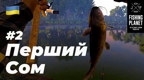 Правильный подход к ловле сома в Fishing Planet