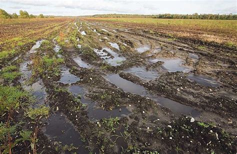 Правильный полив и его влияние на структуру почвы