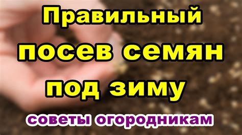 Правильный посев семян