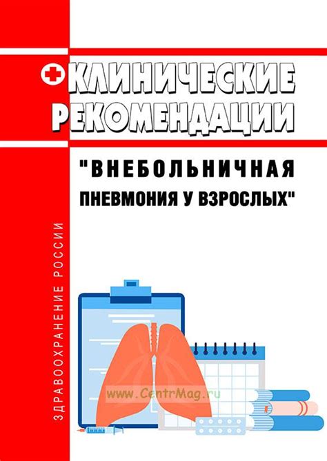 Практические рекомендации по обустройству овощехранилища