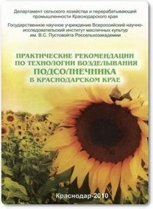 Практические рекомендации по распространению визиток