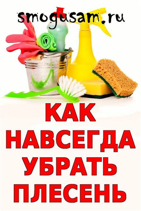 Практические советы по избавлению от сырости в квартире