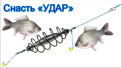 Практические советы по использованию удочки донку: техника ловли и применение приманок