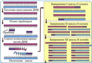 Практическое применение смешивания ДНК