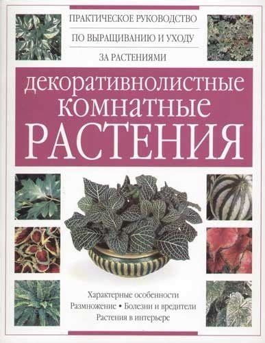 Практическое руководство по уходу за цветами