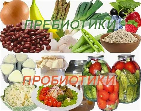 Пребиотики в составе кефира