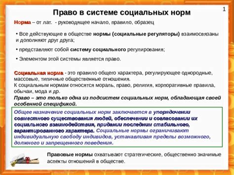 Пределы социальных норм