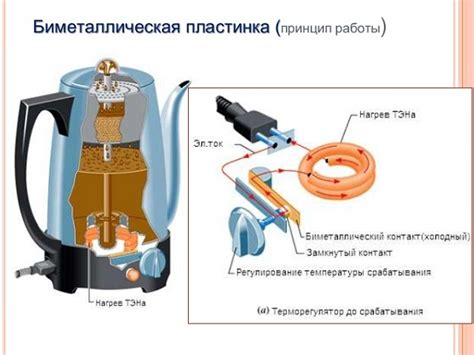 Предназначение и принцип работы чайника