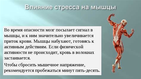 Предотвращение возникновения мышечных дисбалансов