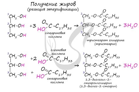 Предотвращение образования жира