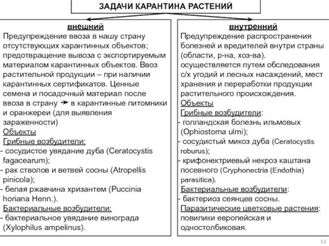 Предотвращение распространения болезней