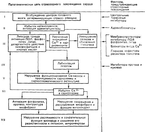 Предупреждение возможных повреждений при очистке ЭЕПРОМ Бош