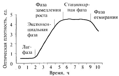 Предупреждение роста микроорганизмов