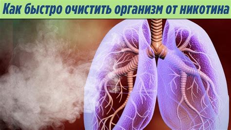 Преимущества быстрой очистки организма от никотина