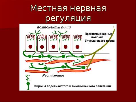 Преимущества естественного усвоения белка