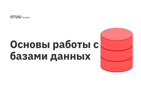 Преимущества изучения работы с базами данных