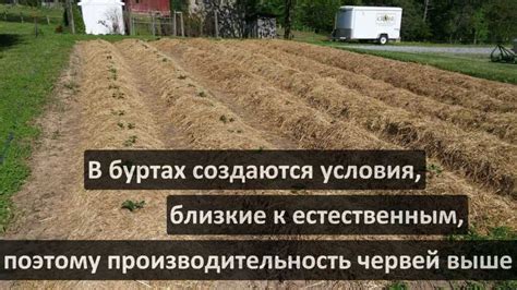 Преимущества использования биогумуса