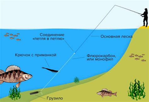 Преимущества использования дроп шот в рыбалке