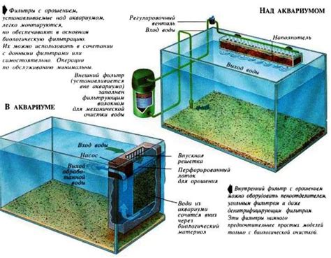 Преимущества использования йода в аквариуме: