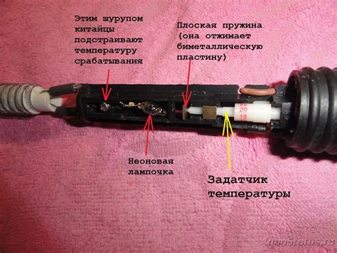 Преимущества использования нагревателя для аквариума