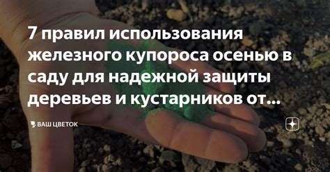 Преимущества использования селитры осенью в саду