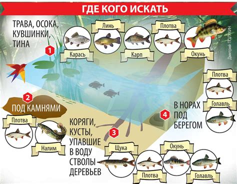 Преимущества ловли щуки в мутной воде