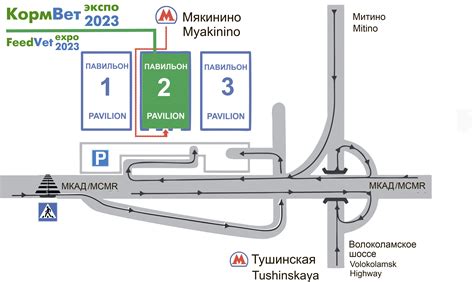 Преимущества посещения МСД