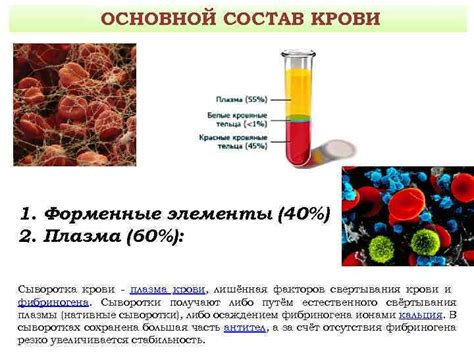 Преимущества сыворотки крови