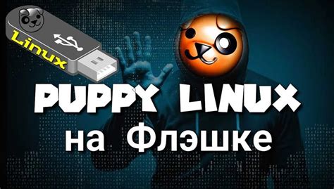 Преимущества установки Puppy Linux на флешку